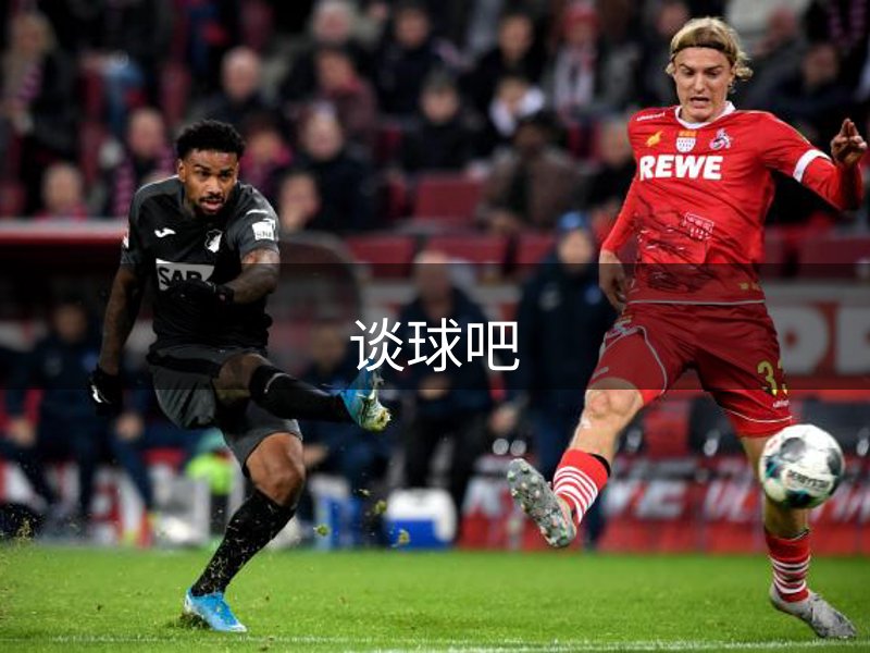 关于本站